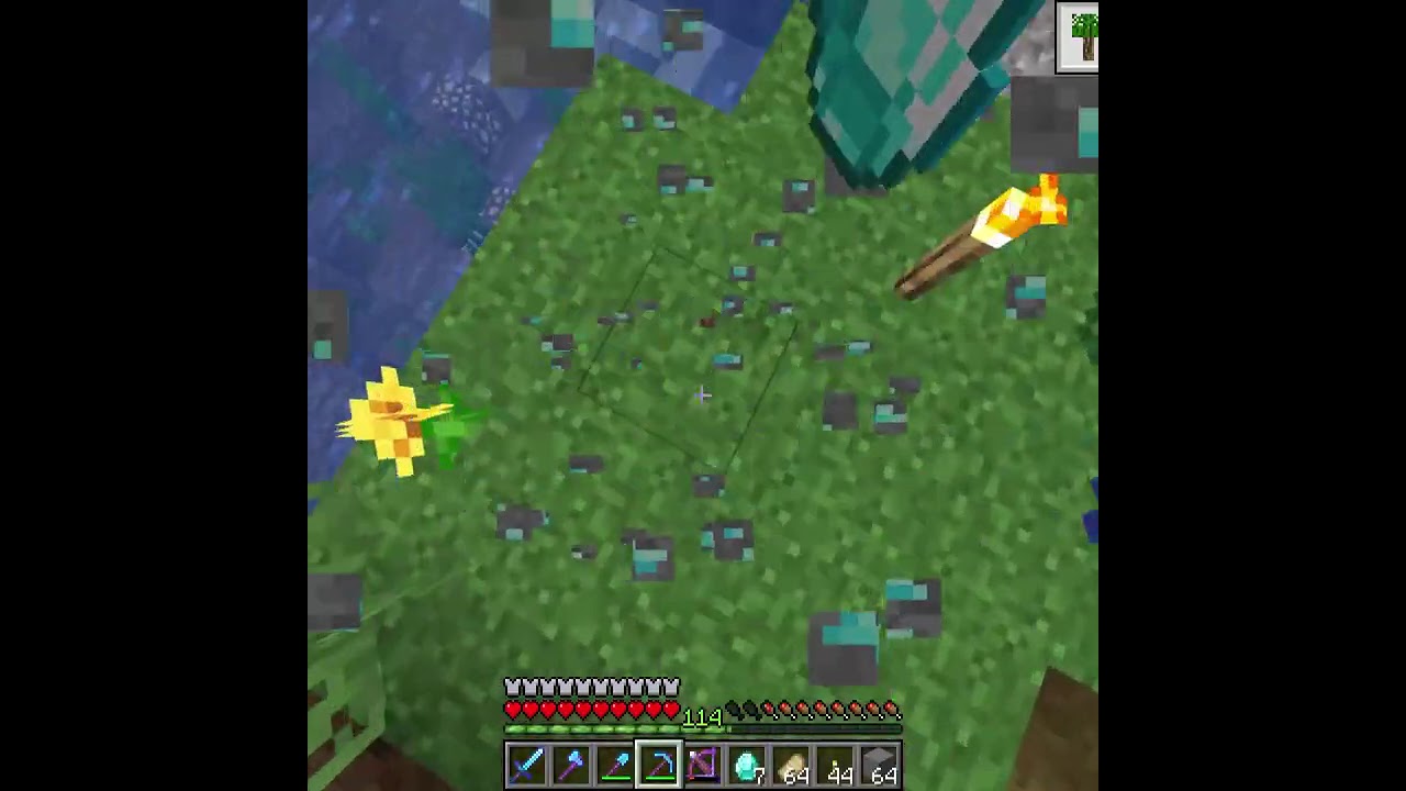 what do we do with Diamonds in the 100 by 100 Minecraft World