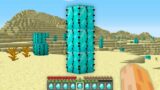 I found this DIAMOND CACTUS in Desert in My Minecraft World !!! New Secret Treasure Challenge !!!