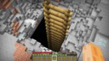 I found this GIANT LADDER under BEDROCK in My Minecraft World !!! Biggest Stairs Challenge !!!