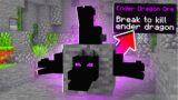 Minecraft But Ender Dragon Is Ore