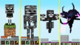 Minecraft Evolution of WITHER Life Cycle Battle Animation How to Play