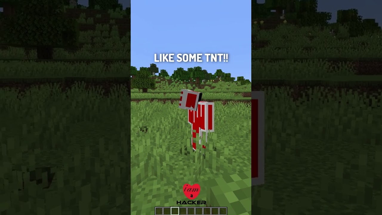 Hacky Minecraft Types of Hackers in Minecraft - Minecraft videos