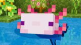 I Added The Axolotl Mob To Minecraft…
