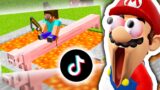 Mario Reacts To Minecraft TikTok Memes #11