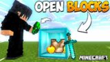 Minecraft But I Can OPEN ANY BLOCK!