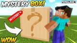 Minecraft But There are MYSTERY BOX!