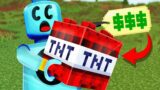 Minecraft but I Buy 1,000,000 LEGO TNT