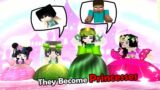 Monster School : Strong Family Become Princesses to Save Master Wither – Minecraft Animation