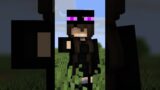 Save endermite from enderman – minecraft animation #shorts