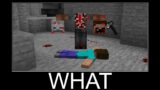 Scary Double Head Herobrine in Minecraft wait what meme part 136