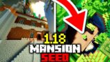 UNBELIEVABLE MINECRAFT 1.18 MANSION SEED!