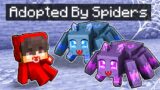 Adopted by a SPIDER FAMILY in Minecraft!