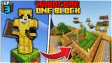 Building Automatic Farms on One Block Minecraft