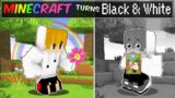 CeeGee's COLOR went BLACK and WHITE In Minecraft! (Tagalog)
