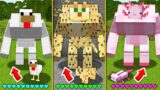 How CHICKEN CAT and AXOLOTL BECOME MUTANT Minecraft Animation How to Play Life Cycle Monster School
