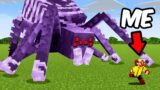 I Made Minecraft Spiders Terrifying