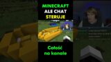 MINECRAFT ALE CHAT ROBI TO