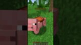 MOST GENIUS MINECRAFT PLAYER (real and true)