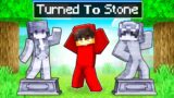 My Friends were TURNED TO STONE in Minecraft!