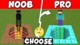 NOOB vs PRO: Do Not Choose The WRONG TUNNEL in Minecraft with @NYGamerOfficial
