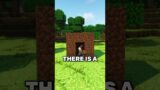 The FIRST Minecraft Player…