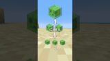 What Is The Slime In Minecraft?