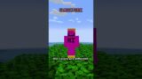i discovered an unsolved mystery in minecraft…