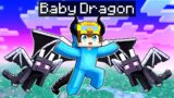 Becoming A BABY DRAGON In Minecraft!