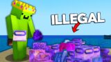 I DESTROYED Illegal Items  On The Deadliest Minecraft Server…