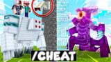 I Secretly Cheated in a MOB GUESS Competition in Minecraft!