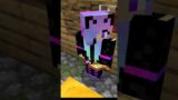 If objects can talk to you #minecraft #shorts #funnyshorts #mcflame #brownsiblings #trending