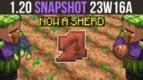 Minecraft 1.20 Snapshot 23W16A – Sherds & New Trail Structures