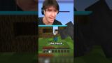 Minecraft But Its Only 1 Giant Block