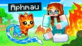 Playing Minecraft As A HELPFUL Elemental Kitten!