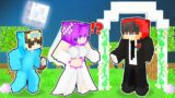 ZOEY Marrying the CASH in Minecraft! – Parody Story (Nico and Shady TV)