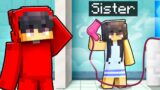7 Secrets About Cash's Sister in Minecraft!