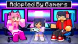 Adopted By the GAMER FAMILY in Minecraft!