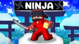 Cash Became a NINJA in Minecraft!