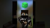 Minecraft, But Me And Friend Have One Inventory | Niowiz | Minecraft | #Shorts #minecraft #ytshorts