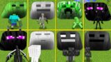 Minecraft Mutant and Boss Mobs Tunnels Battle ! What Mob is the best? MONSTER SCHOOL my craft
