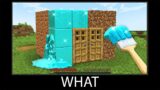 Minecraft wait what meme part 244 realistic Diamond House