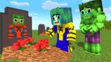 Monster School : Spider Man Help Fight With Hulk  – Minecraft Animation