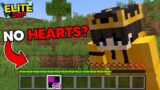 This Minecraft Glitch Can Make All My HEARTS Disappear…