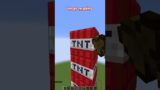Turning my Subscribers into TNT in Minecraft