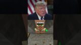 Villagers try to scam Donald #aivoice #minecraft