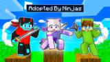 Adopted By A NINJA FAMILY In Minecraft!