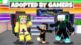 Adopted By the GAMER FAMILY in Minecraft! (Hindi)
