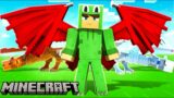 How I BECAME A DRAGON in Minecraft!