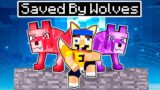 Jeffy Is Saved By WOLVES In Minecraft!