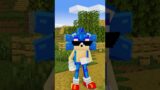 Minecraft on 1000 ping Sonic saves – animation monster school #shorts